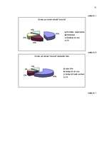 Referāts 'Uzņēmuma "X" mārketinga stratēģija', 31.