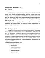 Referāts '"LB" vadīšana mainīgas ārējās vides apstākļos', 13.