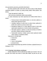 Referāts '"LB" vadīšana mainīgas ārējās vides apstākļos', 19.