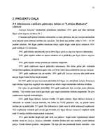 Referāts '"LB" vadīšana mainīgas ārējās vides apstākļos', 31.