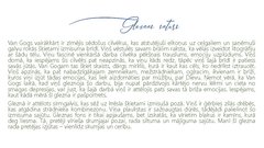 Prezentācija 'Vinsenta Van Goga gleznas "Skumjš vecs vīrs jeb Pie mūžības vārtiem" analīze', 7.