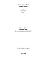 Referāts 'Brīvības atņemšanas efektivitāte', 1.