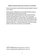 Referāts 'Reklāmas kampaņas projekts', 3.