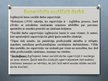 Prezentācija 'Supervīzijas sociālajā darbā', 7.