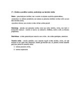 Konspekts 'Tiesību teorija', 17.