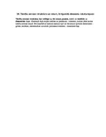 Konspekts 'Tiesību teorija', 28.