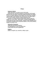 Referāts 'Lielie ģeogrāfiskie atklājumi', 4.