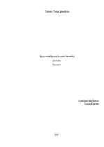 Referāts 'Eposa meklējumi latviešu literatūrā', 1.