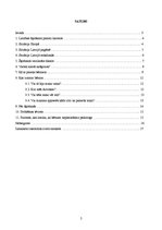 Referāts 'Laulības šķiršana un bērni', 2.