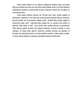 Konspekts 'Starp sievietēm: Lauku bērnu kopšanas īstenības pētīšana', 2.