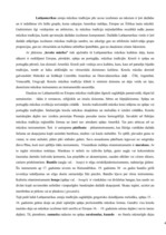 Referāts 'Dienvidamerikas un Ziemeļamerikas mūzika', 4.