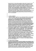 Konspekts 'Civilprocess', 33.