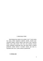 Referāts 'Valodas lietojums reklāmās', 6.