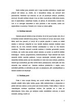 Referāts 'Valodas lietojums reklāmās', 7.