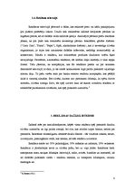 Referāts 'Valodas lietojums reklāmās', 8.