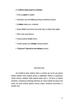 Referāts 'Valodas lietojums reklāmās', 15.