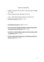 Referāts 'Valodas lietojums reklāmās', 18.