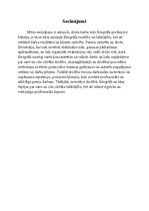 Referāts 'Sabiedrības un cilvēka drošība. Mana darba vieta pēc darba aizsardzības prasībām', 16.