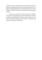 Eseja 'Alberta Bela romāns "Būris" - pārdomu raisošs darbs', 2.