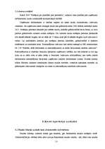 Prakses atskaite 'Prakse grāmatvedībā', 13.