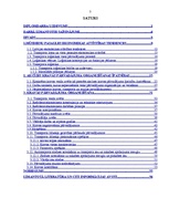 Diplomdarbs 'Akcīzes kravu pārvadāšanas organizācija', 7.