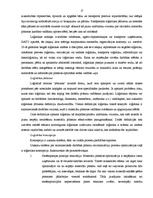 Diplomdarbs 'Akcīzes kravu pārvadāšanas organizācija', 17.