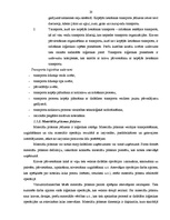 Diplomdarbs 'Akcīzes kravu pārvadāšanas organizācija', 20.