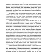 Diplomdarbs 'Akcīzes kravu pārvadāšanas organizācija', 21.