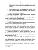 Diplomdarbs 'Akcīzes kravu pārvadāšanas organizācija', 30.