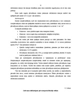 Diplomdarbs 'Akcīzes kravu pārvadāšanas organizācija', 35.