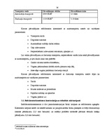 Diplomdarbs 'Akcīzes kravu pārvadāšanas organizācija', 36.