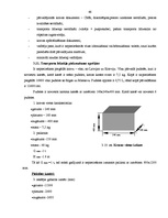 Diplomdarbs 'Akcīzes kravu pārvadāšanas organizācija', 46.