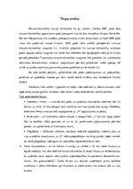 Eseja 'Tirgus vides analīze veikalam', 1.