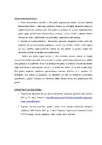 Eseja 'Tirgus vides analīze veikalam', 2.