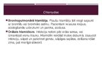 Prezentācija 'Hlamīdijas', 13.