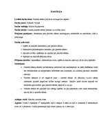 Referāts 'Placebo efekta pozitīvie un negatīvie aspekti', 2.