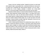 Referāts 'Placebo efekta pozitīvie un negatīvie aspekti', 23.