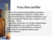 Prezentācija 'Antibiotikas', 7.