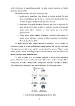 Diplomdarbs 'Tēmas "Ēdamās un indīgās sēnes" apguve 3.klasē', 10.