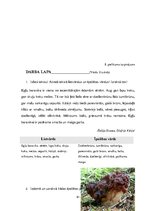 Diplomdarbs 'Tēmas "Ēdamās un indīgās sēnes" apguve 3.klasē', 91.