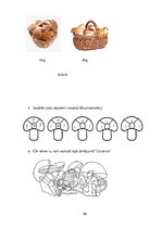 Diplomdarbs 'Tēmas "Ēdamās un indīgās sēnes" apguve 3.klasē', 96.