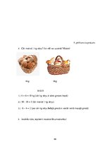 Diplomdarbs 'Tēmas "Ēdamās un indīgās sēnes" apguve 3.klasē', 99.