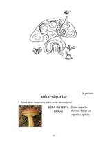 Diplomdarbs 'Tēmas "Ēdamās un indīgās sēnes" apguve 3.klasē', 101.