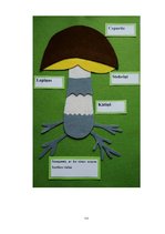 Diplomdarbs 'Tēmas "Ēdamās un indīgās sēnes" apguve 3.klasē', 111.