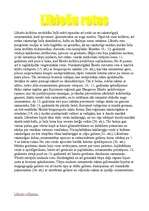 Konspekts 'Senlaicīgas rotas Latvijā', 5.