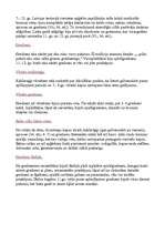 Konspekts 'Senlaicīgas rotas Latvijā', 14.