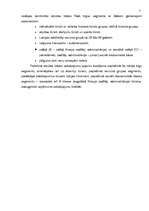 Referāts 'Atpūtas bāzes "Radi" mārketinga darbības analīze', 22.