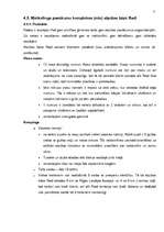 Referāts 'Atpūtas bāzes "Radi" mārketinga darbības analīze', 26.