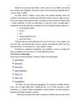 Referāts 'Atpūtas bāzes "Radi" mārketinga darbības analīze', 30.