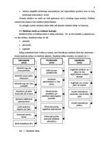 Referāts 'Reklāmas klasifikācijas īpatnības', 6.